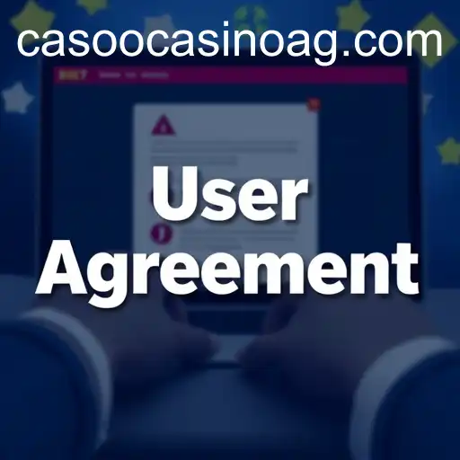 User Agreement